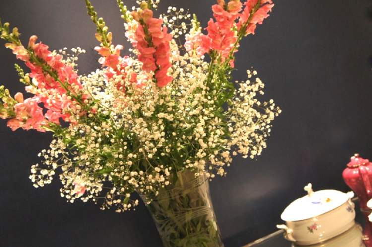 Snapdragon is one of the flowers for bouquets and arrangements