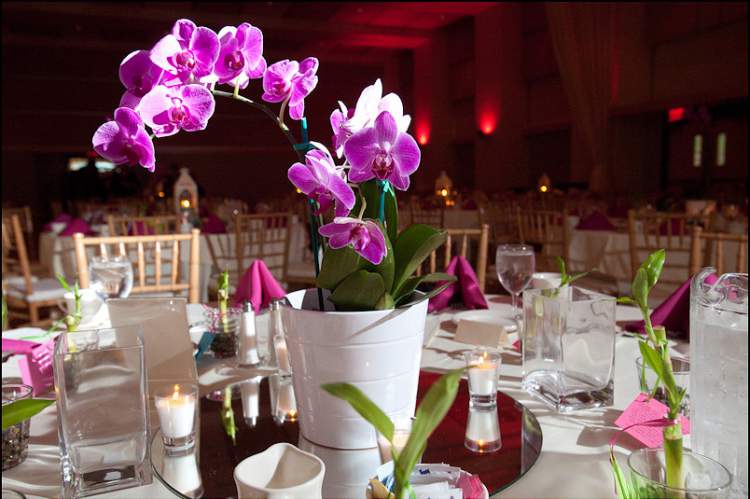 Orchid arrangement in wedding decoration