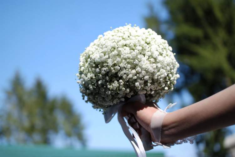 Beautiful bouquet of gypsophila