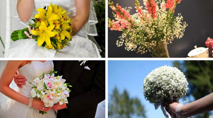 15 flowers for bouquets and arrangements: see the meaning of each one