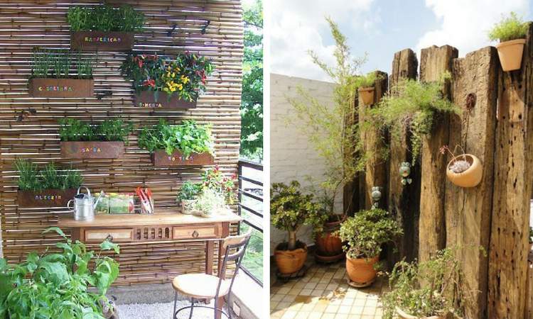 How to decorate a house with a vertical winter garden