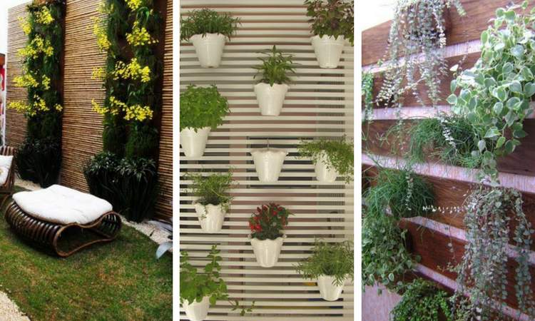 Photos of vertical winter garden decoration