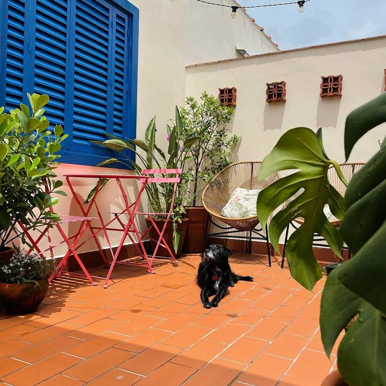 Quintal de casa com cadeiras, mesa e plantas em vasos.