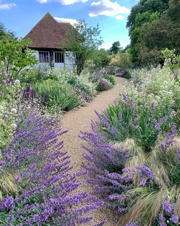 Caminho de jardim com pedra e plantas como lavanda.