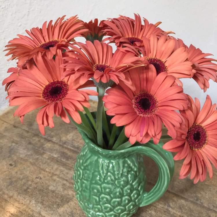 Juice jug as a vase