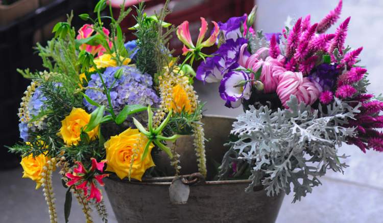 Flowers in an iron bucket