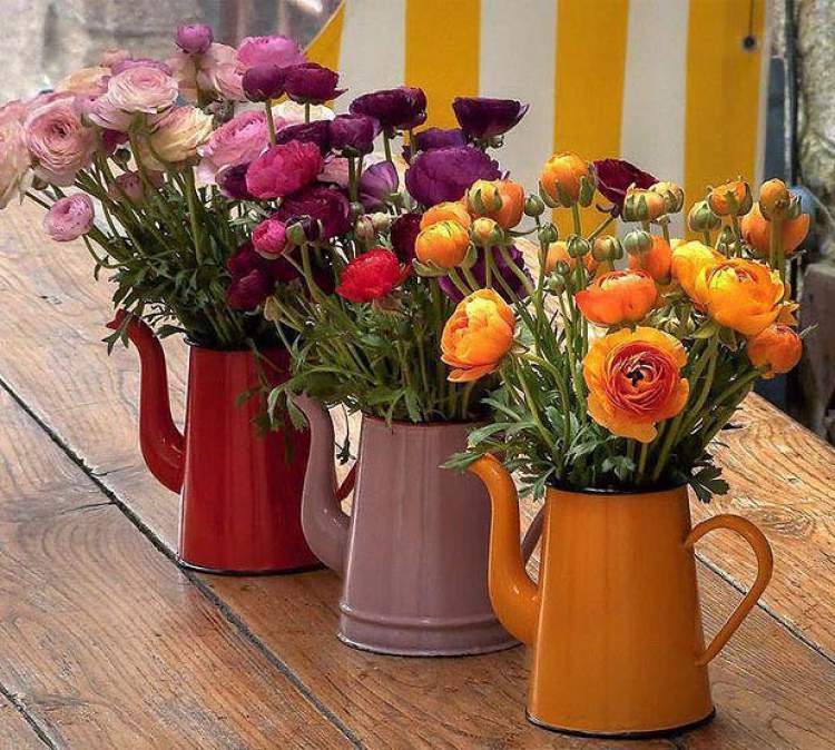 Flowers in coffee pot