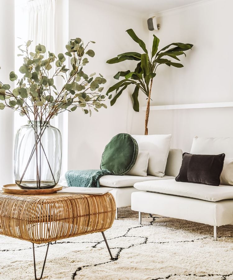 The room is light and airy, with white walls that reflect natural light.  There are two comfortable armchairs adorned with white and one black square cushions.  A green blanket is casually thrown over the corner of the sofa.  Next to the sofa, there is a wicker side table with a circular top that holds a large transparent vase.  The vase contains tall branches with rounded green leaves, providing a natural touch to the space.  Above the sofa on the wall, there is a hanging tropical plant that extends downward towards the seat.  The floor is covered with a textured rug in light tones. 