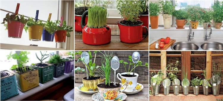 Mini garden helps to renovate the kitchen without the need for renovations