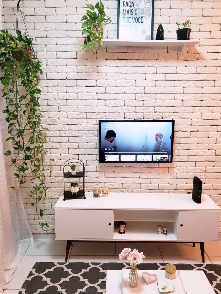 White living room with white rack, television and hanging boa constrictor in the upper left corner. 