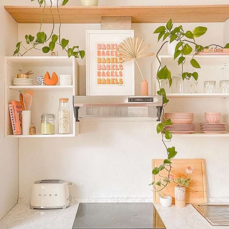 Pendant boa in pink kitchen with open shelves, induction cooker, and picture. 