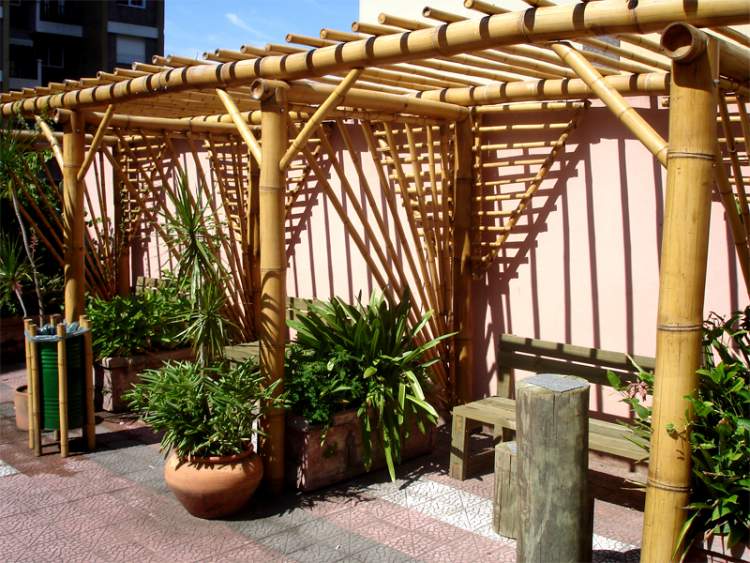 bamboo pergola