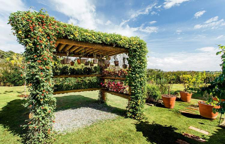 Vertical Garden Pergola