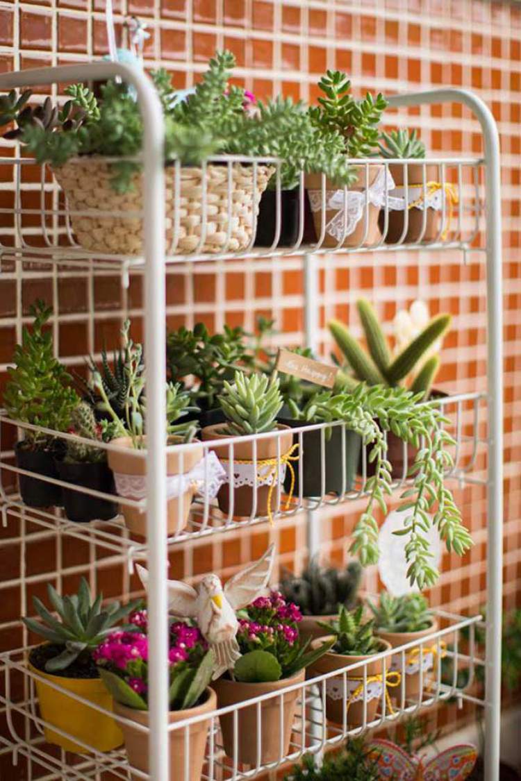 Vertical Garden in Decoration