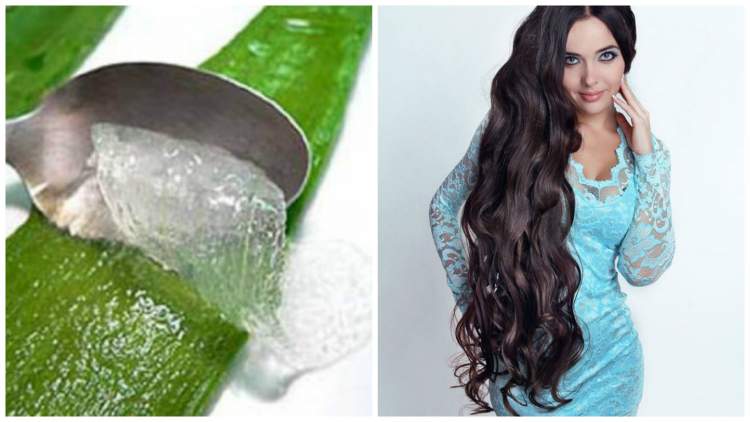 How to Moisturize Your Hair with Aloe Vera