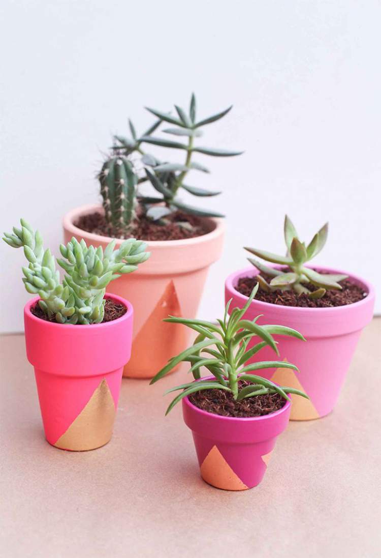 painted potted plants and flowers