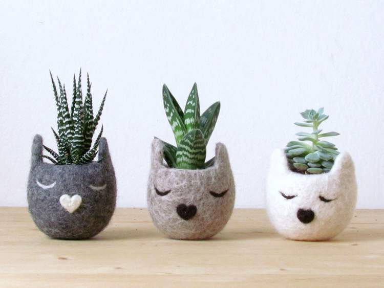 creative vases to place plants and flowers