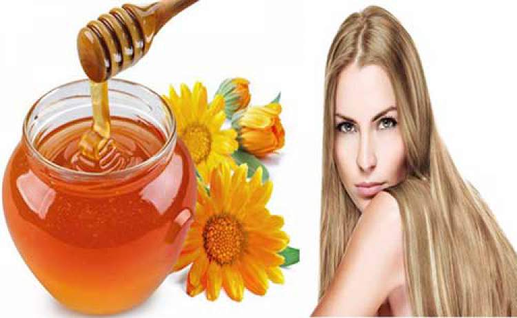 Honey Moisturizing Mask for Dry Hair