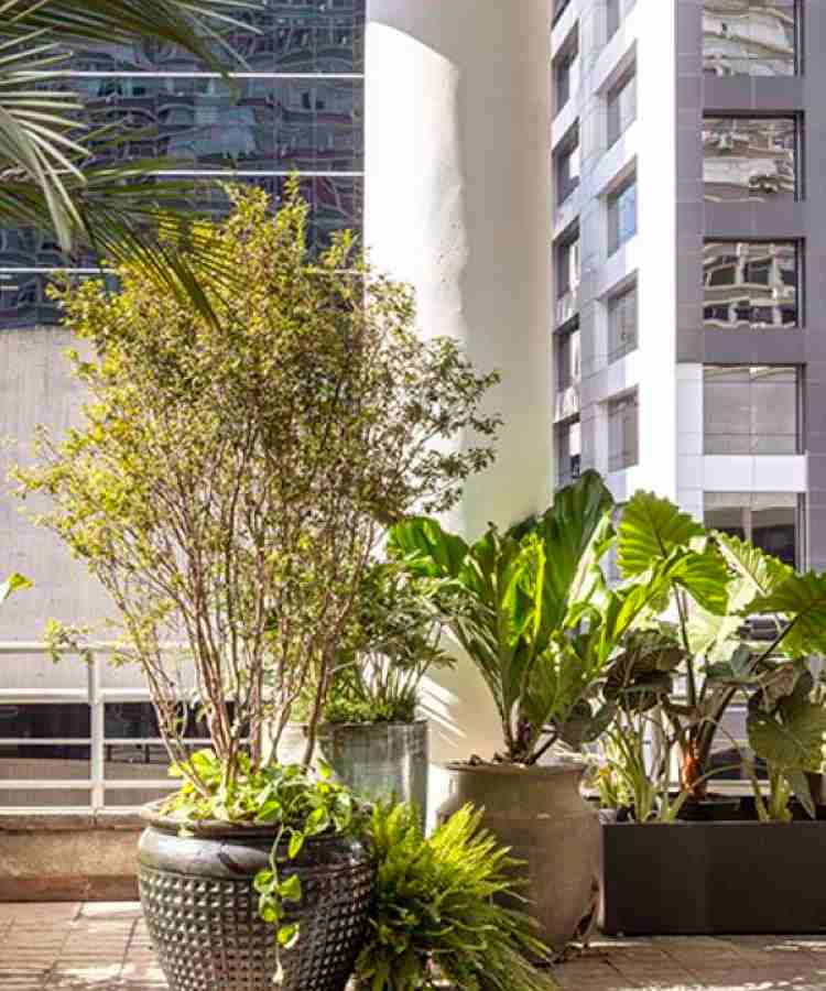 native plants in the Landscaping of Catê Poli and João Jadão at CASACOR 2023