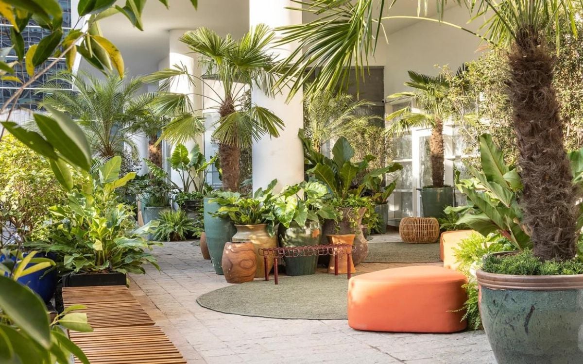 Exotic plants and native plants in the Landscaping of Catê Poli and João Jadão at CASACOR 2023