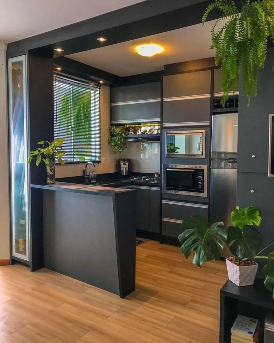 Black American kitchen decorated with plants.