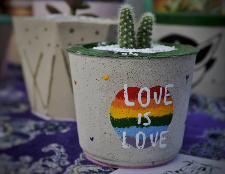 Mini cactus.