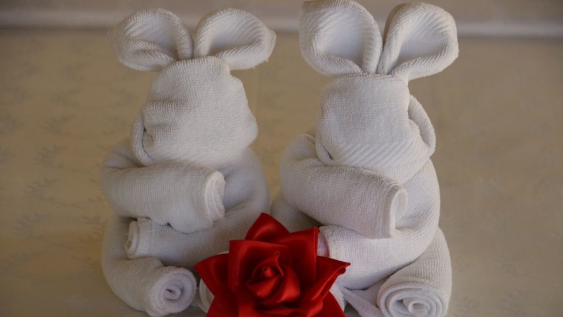 Christmas gift towels