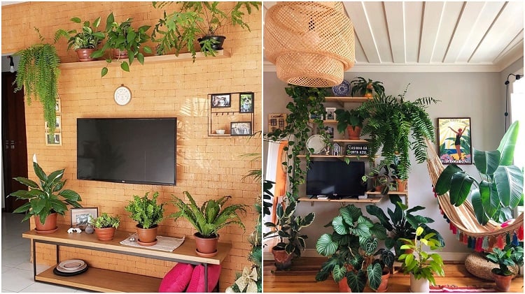 racks decorated with potted plants