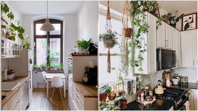 two kitchens with white cabinets and potted plants