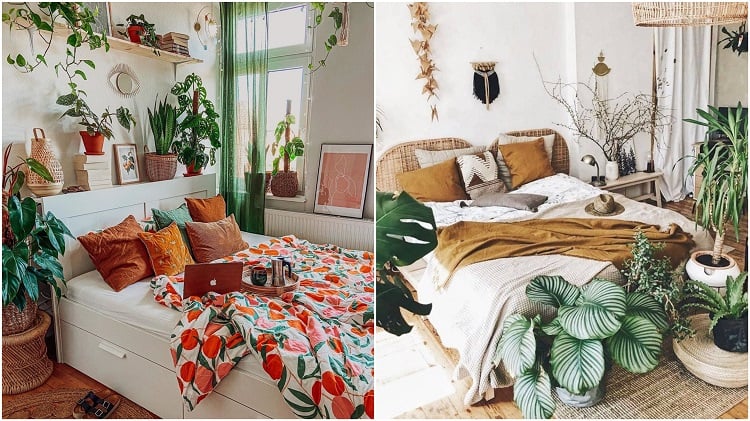 two bedrooms with plants at the head or foot of the bed