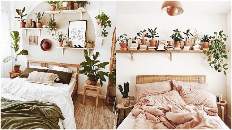 shelves with plants at the headboards of two double beds