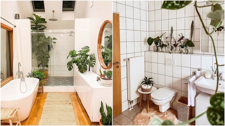 urban jungle in two bathrooms