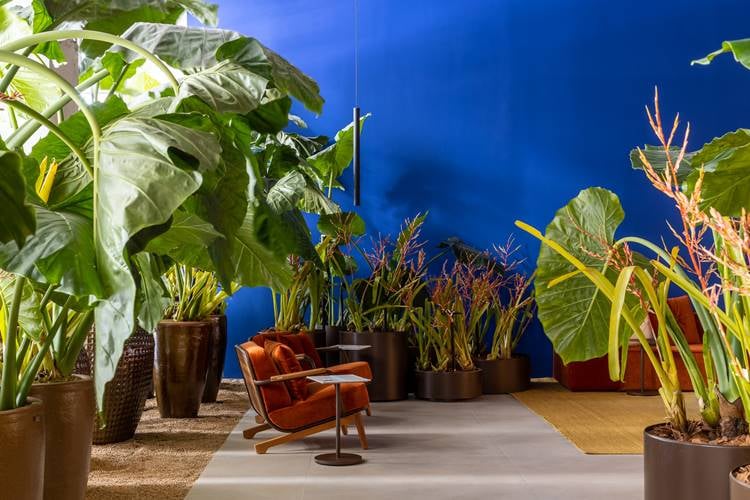 two brown armchairs surrounded by plants, in front of a blue wall