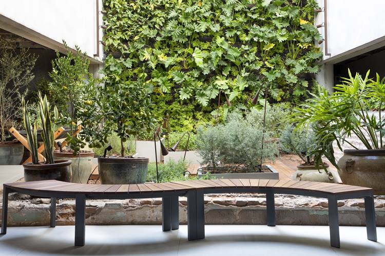 wooden bench with wall of plants in the background.