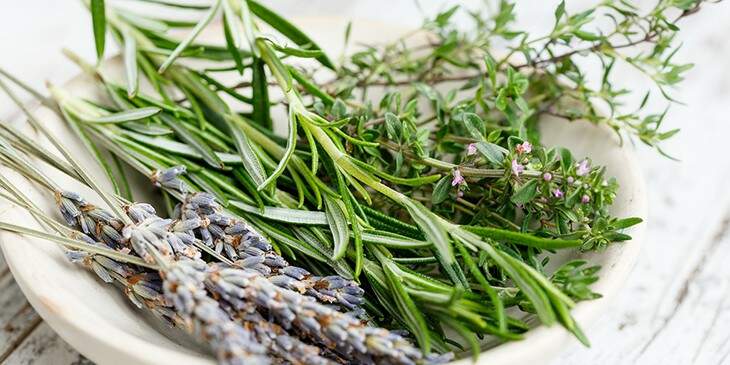 Bath herbs: 10 types of baths to renew your energy