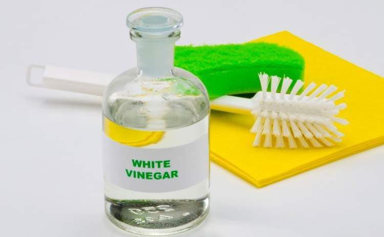 White vinegar to remove blood stains