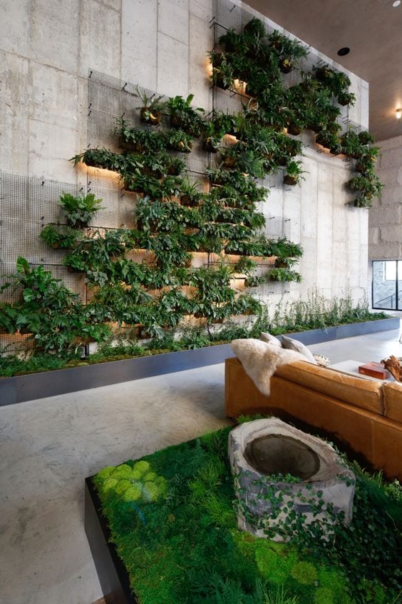 Vertical garden in the living room