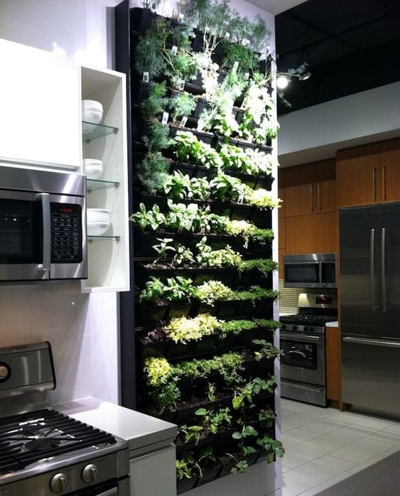 Kitchen with vertical garden.