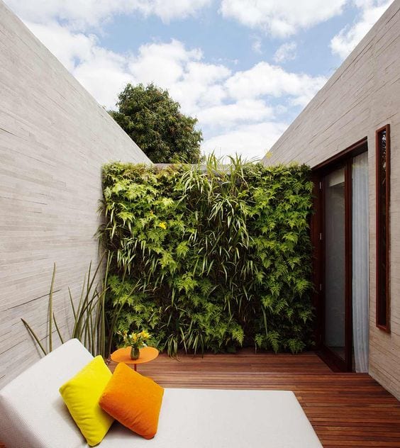 External wall with vertical garden