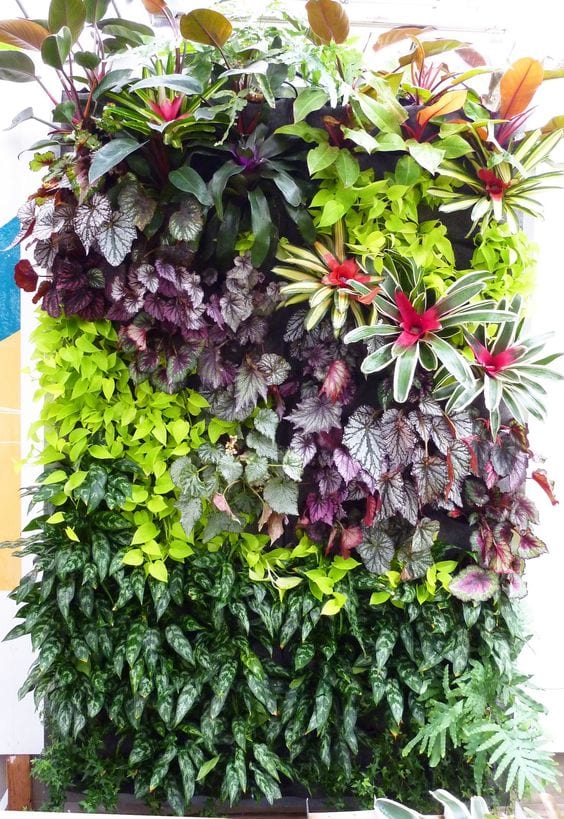 Colorful vertical garden