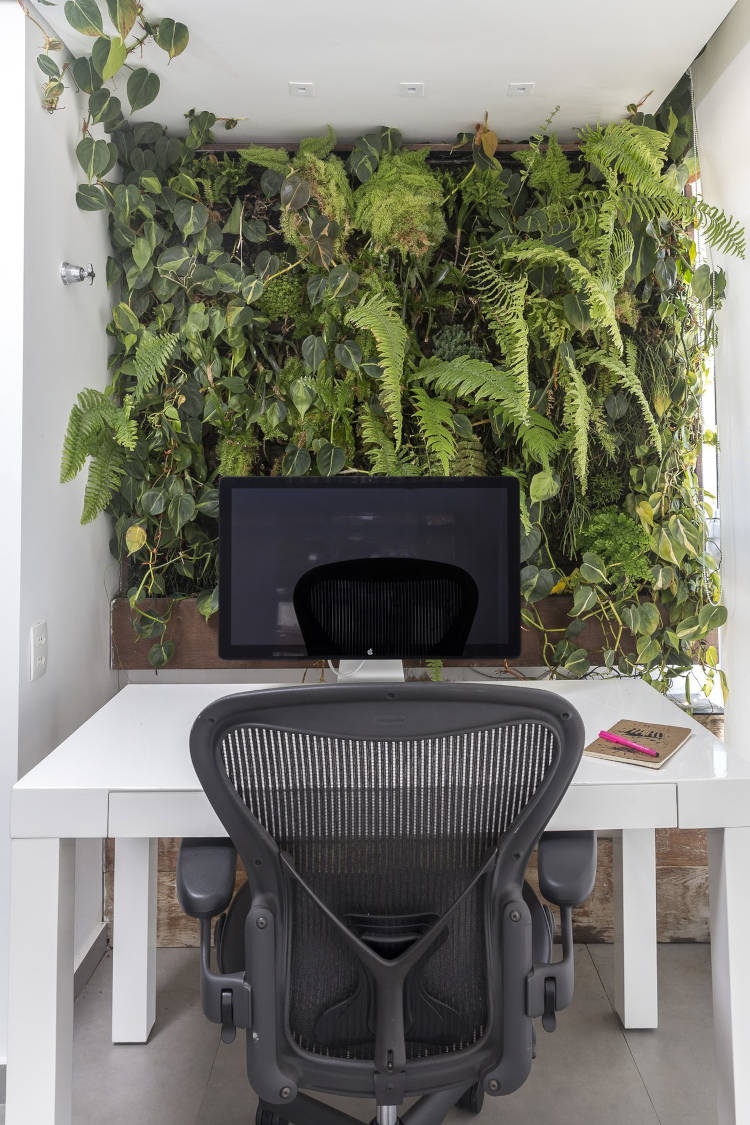 Home office with plants.