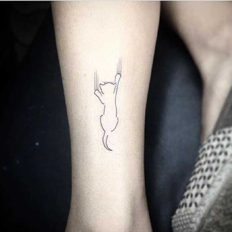 Delicate scratching cat tattoo