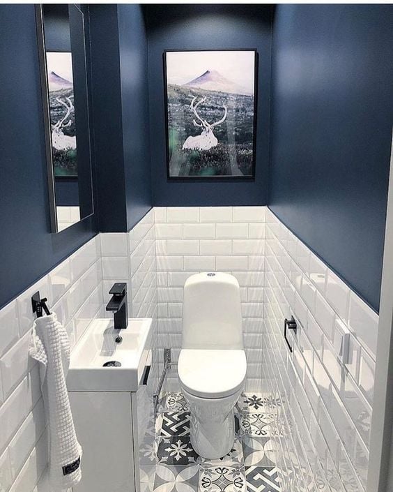 Blue and white toilet