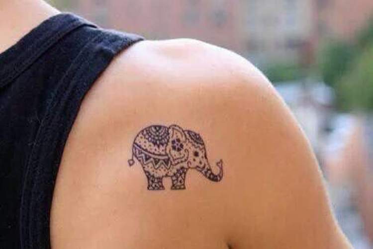 Delicate elephant tattoo on the side of the shoulder