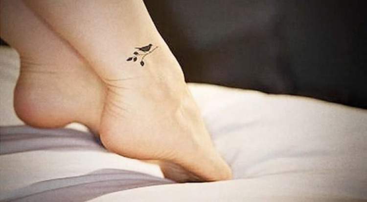 Delicate ankle tattoo of bird with olive branch