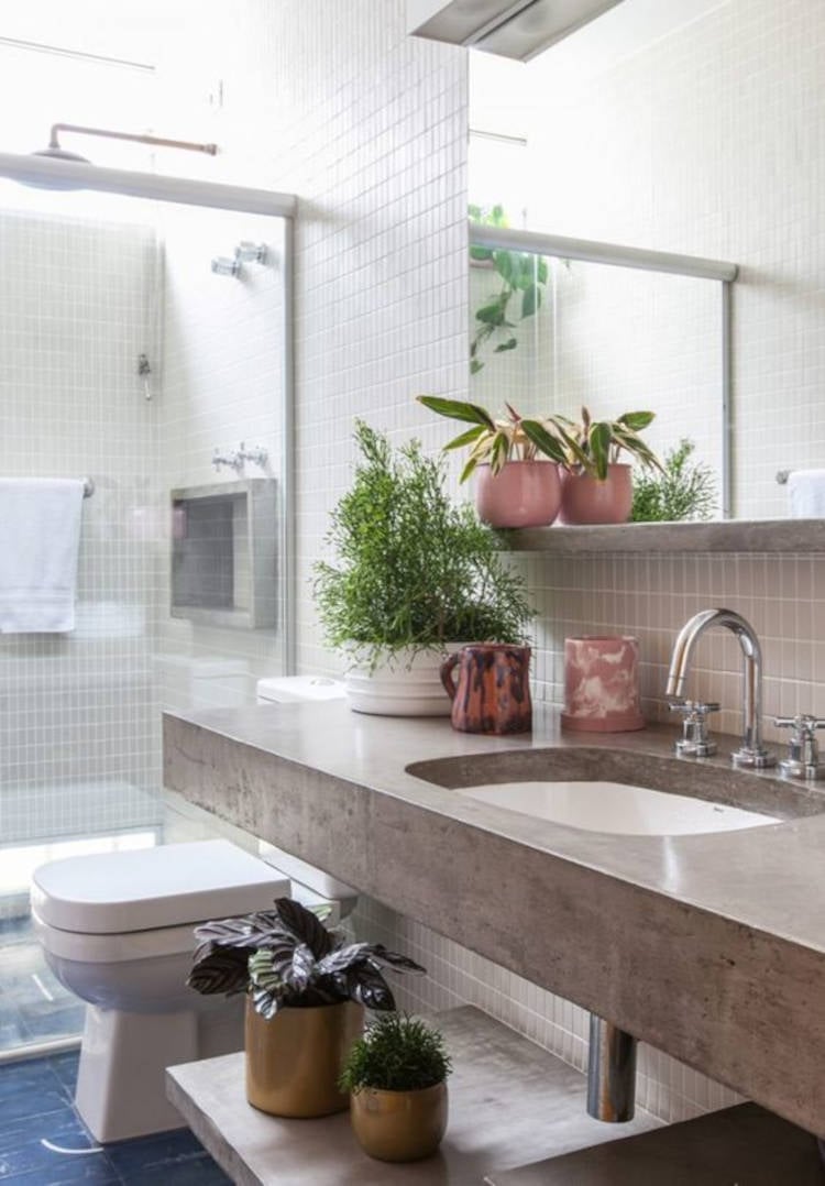 Feng shui bathroom decoration with plants.