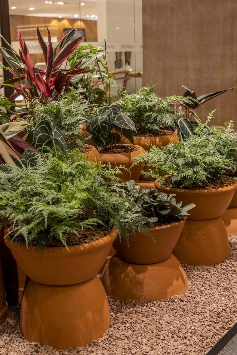 Garden with stone floor and clay pots.