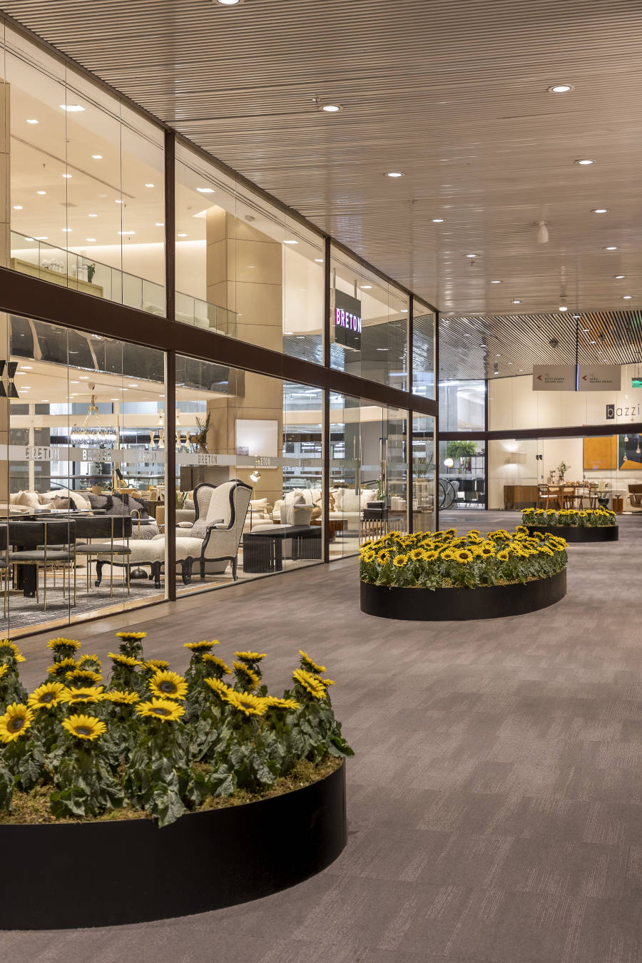 Mall corridor with sunflower gardens.