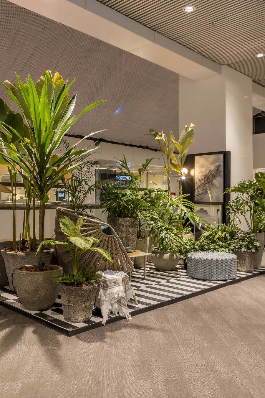 Garden with black and white striped floor.