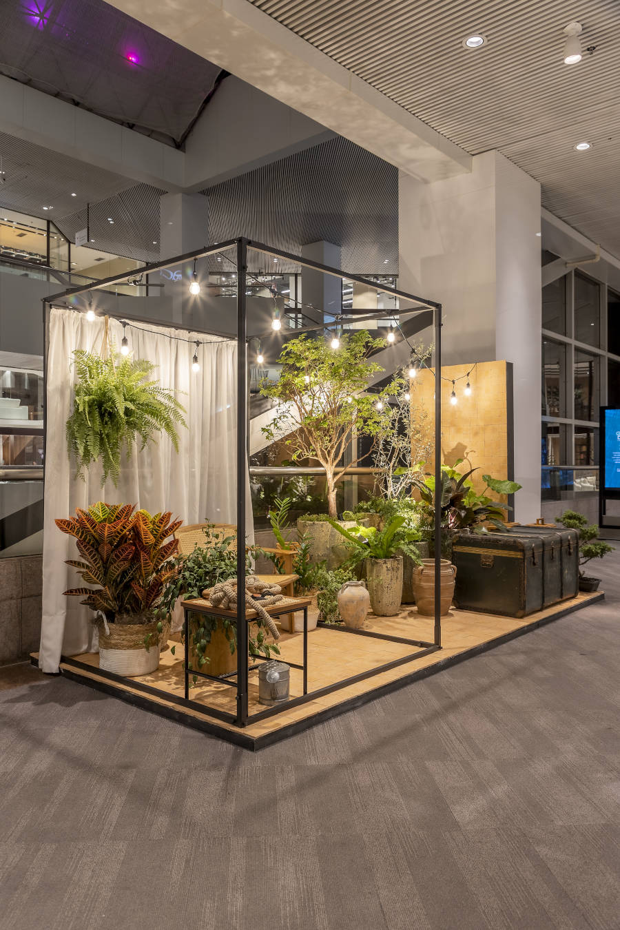 Decoration with vases on the floor and hanging plants.